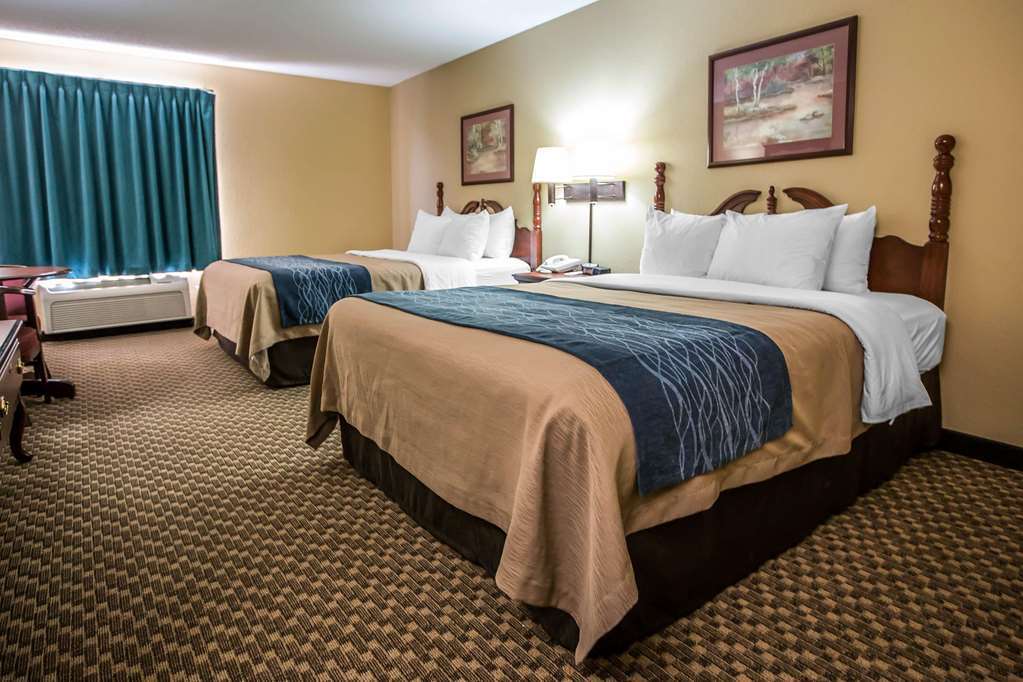 Quality Inn & Suites Mendota Near I-39 Chambre photo